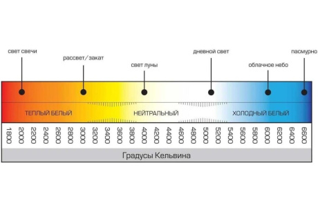 Купить GENERAL Лента с/д IP-20  GLS-5050-60-14 4-12-IP20-6  14.4Вт/м  Холодный  5034 фото №3